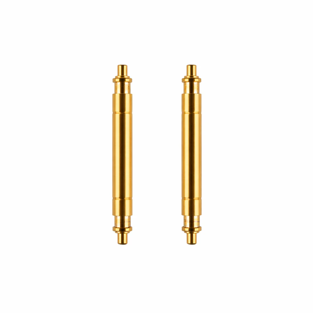 Rolex Spring Bars